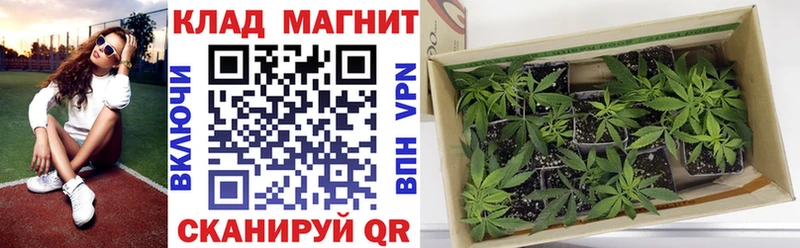Купить ГАШ  Альфа ПВП  Бутират  Каннабис  Мефедрон  Ковылкино