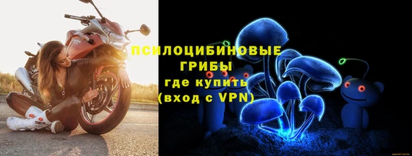 мяу мяу мука Козловка