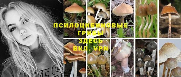 мяу мяу мука Козловка