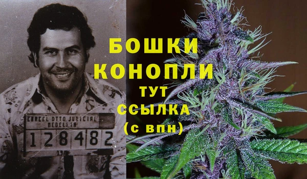 тгк Кодинск