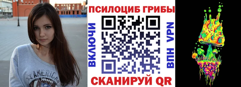 Купить где  Ковылкино  Псилоцибиновые грибы GOLDEN TEACHER 